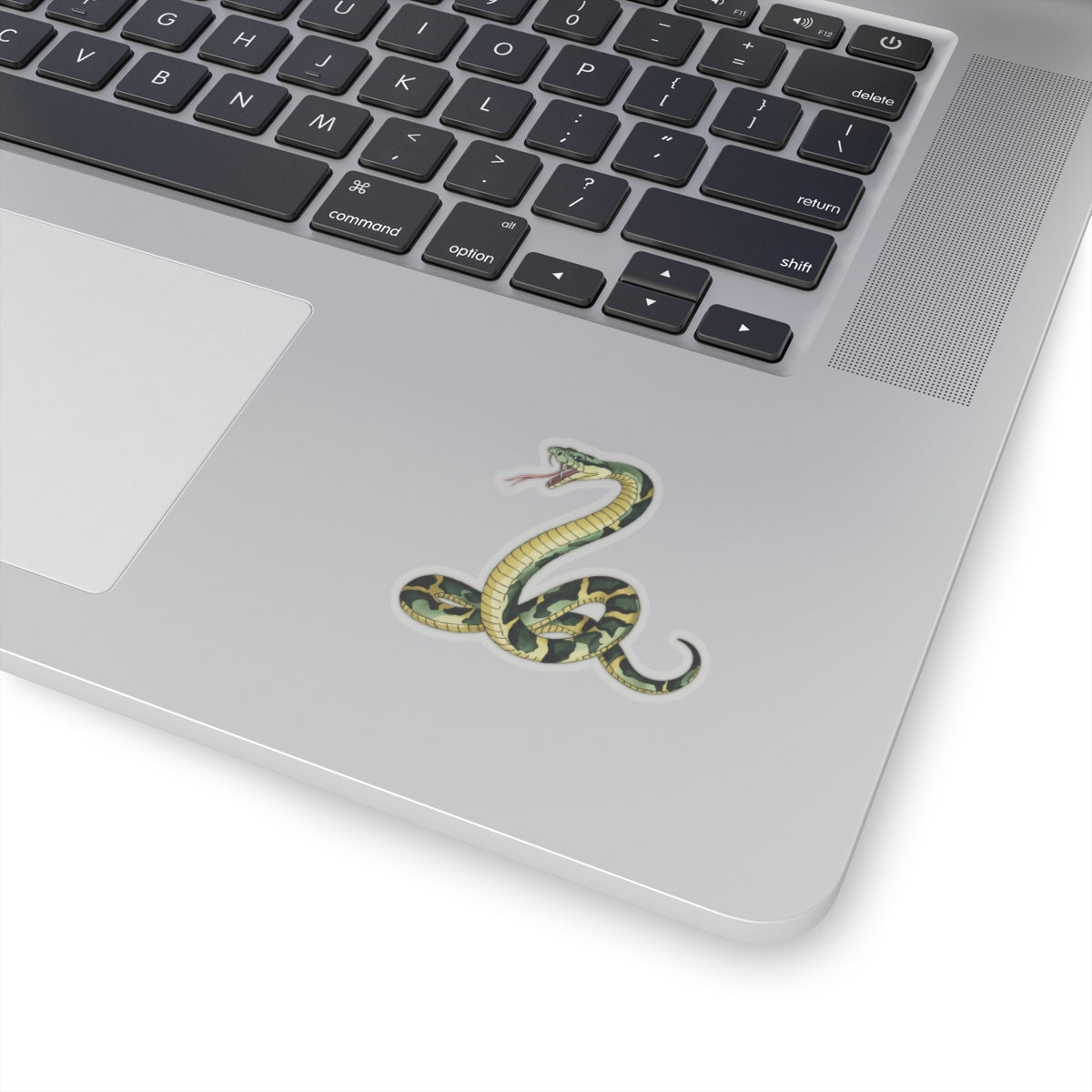 Snake Sticker Decal, Green Animal Reptile Watercolor Art Vinyl Laptop Cute Waterbottle Tumbler Car Waterproof Bumper Clear Die Cut Wall