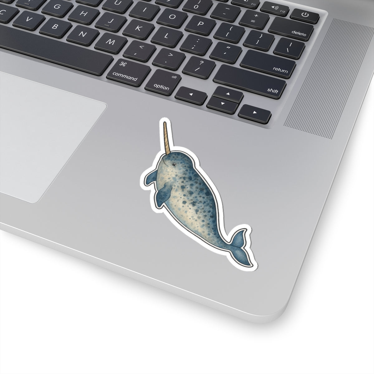Narwhal Sticker Decal, Ocean Animal Sea Whale Watercolor Art Vinyl Laptop Cute Waterbottle Tumbler Car Waterproof Bumper Clear Die Cut Wall