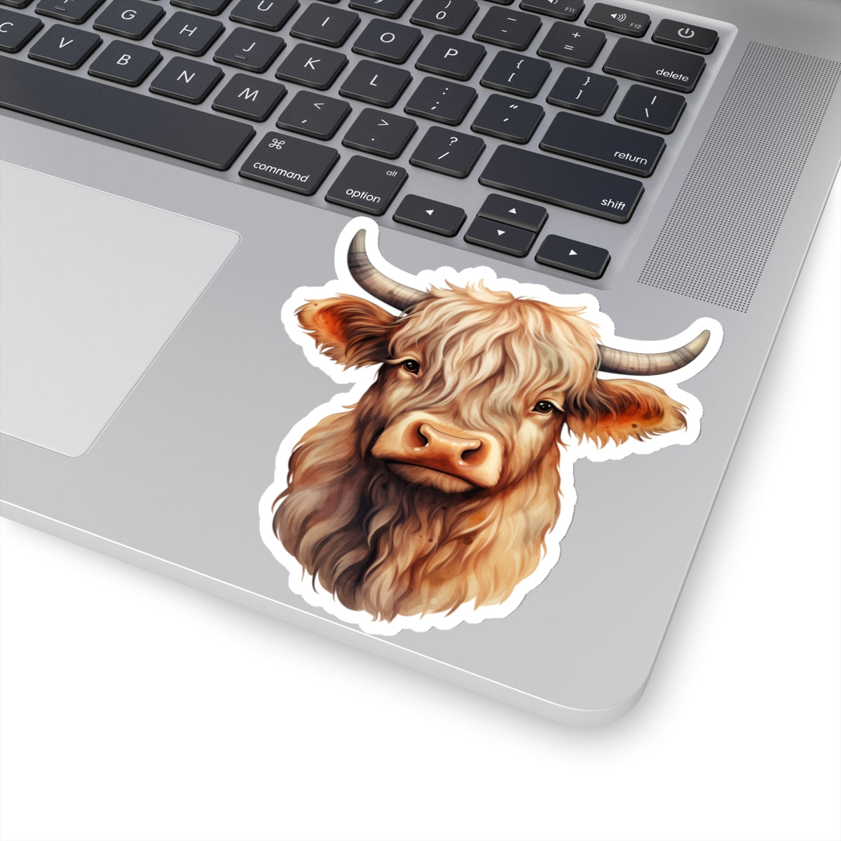 Highland Cow Sticker Decal, Western Animal Art Vinyl Laptop Cute Waterbottle Tumbler Car Waterproof Bumper Clear Aesthetic Die Cut Wall