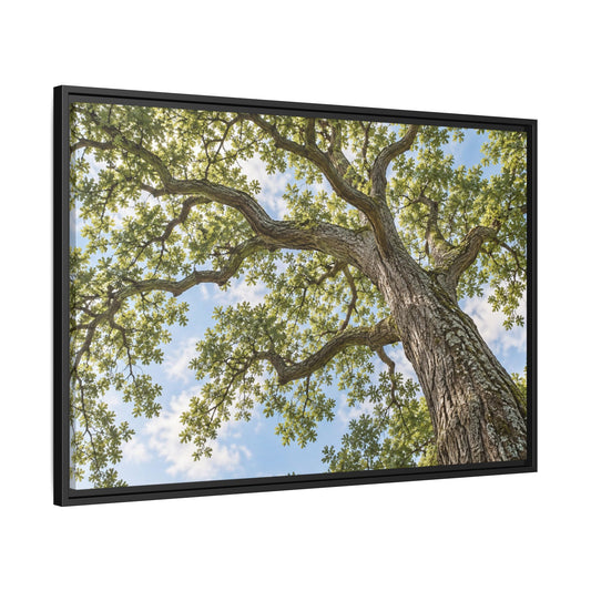Oak Tree Canopy Canvas Wood Framed, Sunlit Woodland Wall Art Print Artwork Decor Small Large Hanging Matte Modern Vintage Landscape
