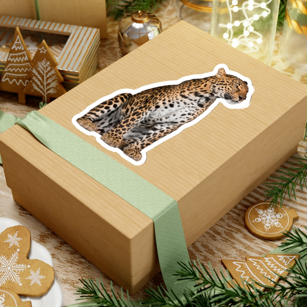 Leopard Sticker, Animal Cheetah Laptop Decal Vinyl Cute Waterbottle Tumbler Car Waterproof Bumper Aesthetic Die Cut Wall Mural Starcove Fashion