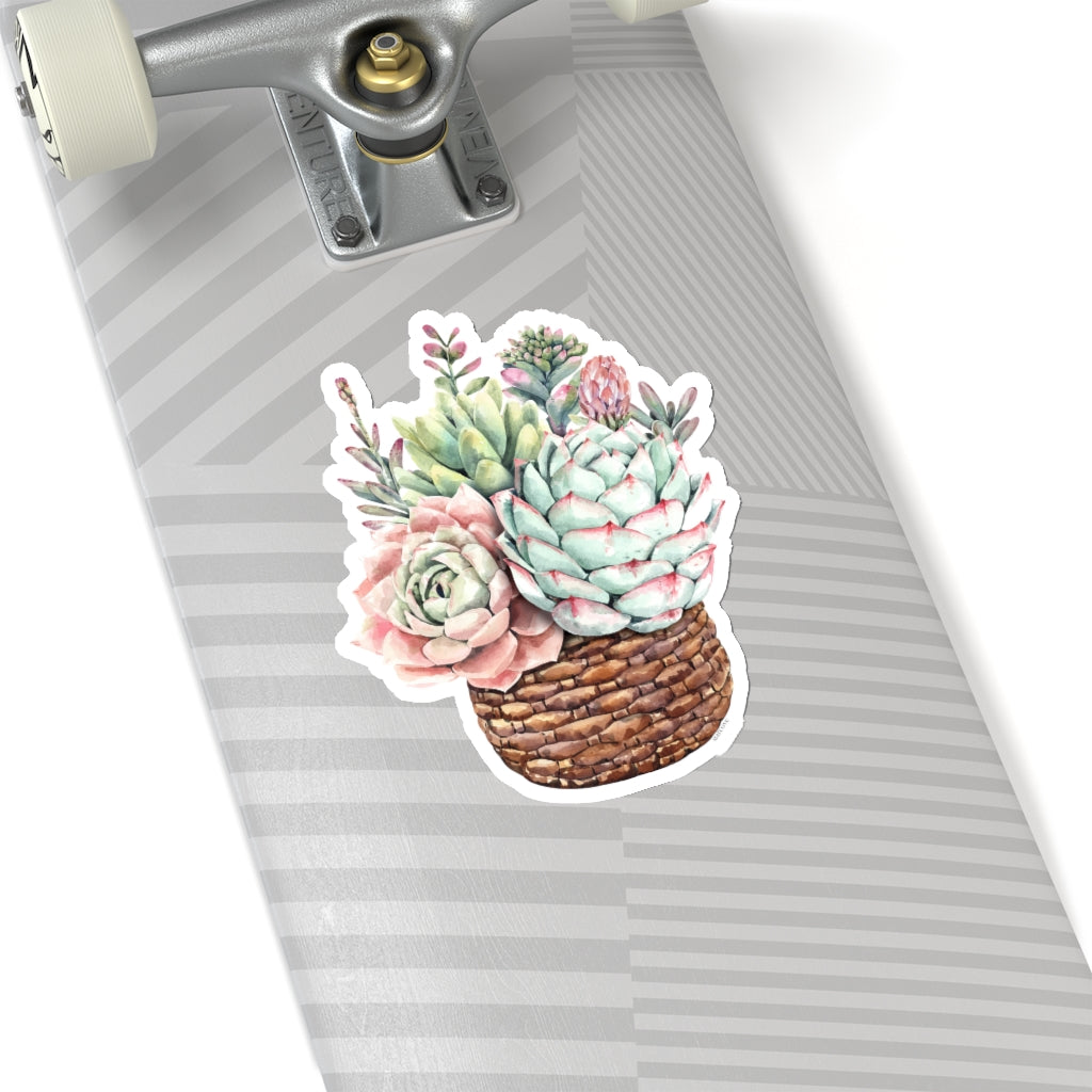 Watercolor Succulent Sticker, Planter Basket Plant Cactus Laptop Decal Vinyl Cute Waterbottle Tumbler Car Waterproof Bumper Aesthetic Wall Mural Starcove Fashion