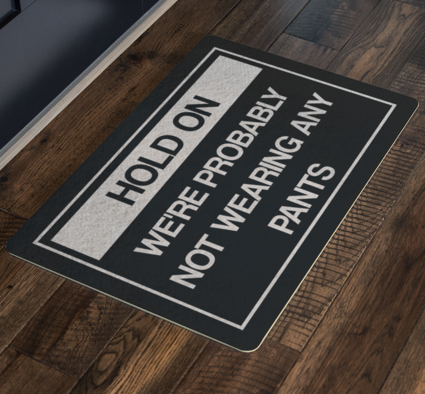 Hold On We're Probably Not Wearing Any Pants, Funny Doormat, Welcome Mat, Outdoor Indoor Home Housewarming New Home Gift Starcove Fashion