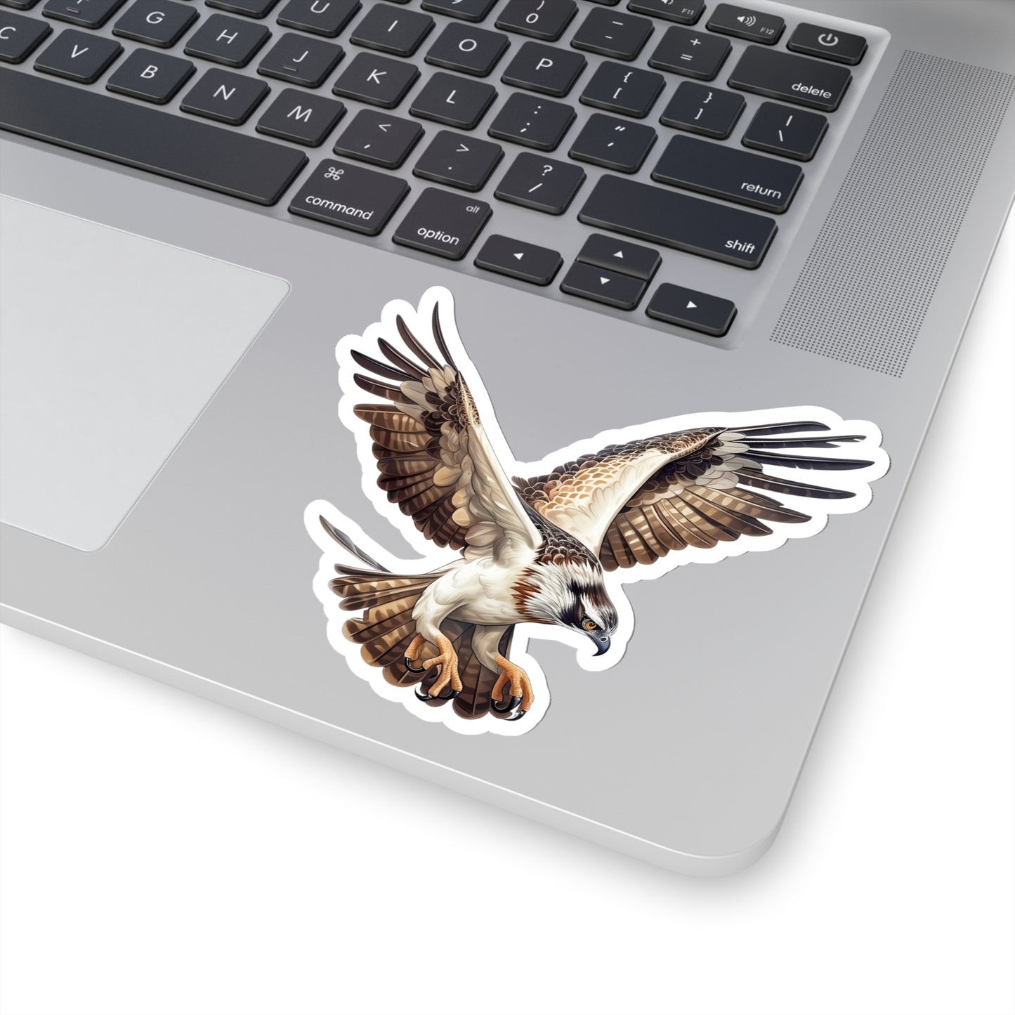 Osprey Sticker, Hawk Talons Raptor Bird Art Laptop Decal Vinyl Waterbottle Tumbler Car Waterproof Bumper Aesthetic Die Cut Wall Clear Starcove Fashion