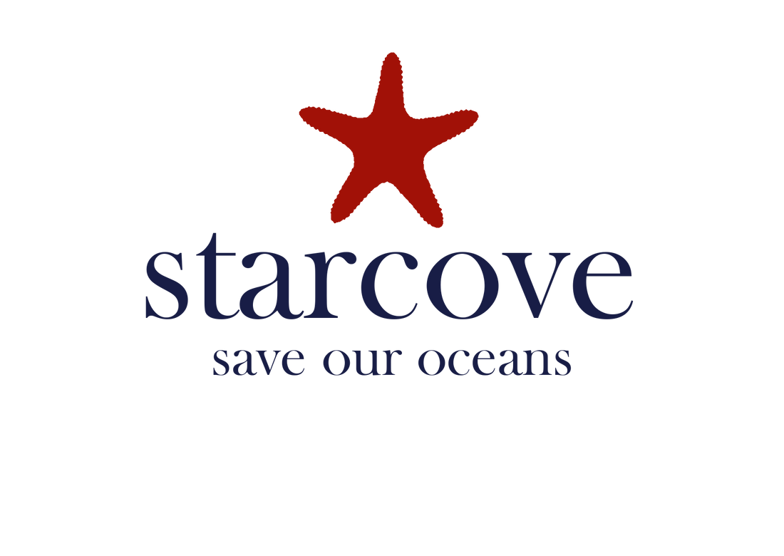 Support Organizations Working to Protect the Ocean Starcove Fashion