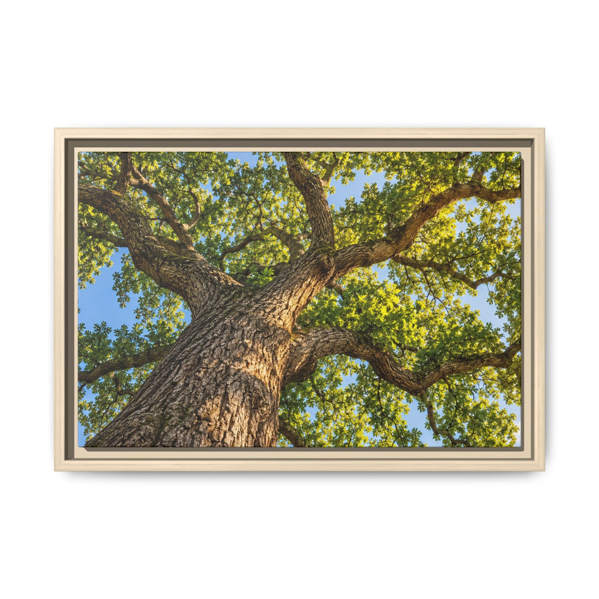 Oak Tree Canopy Canvas Wood Framed, Green Foliage Sunlit Woodland Wall Art Print Artwork Decor Small Large Hanging Matte Modern Landscape