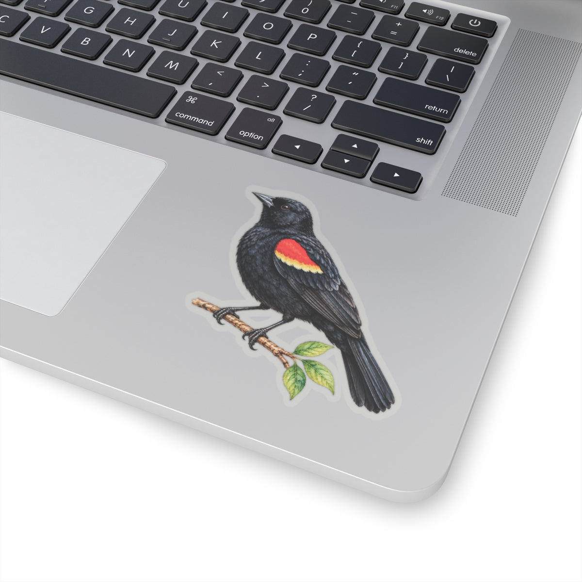 Red-Winged Blackbird Bird Sticker Decal, Birdwatcher Wetland Watercolor Art Vinyl Laptop Waterbottle Tumbler Car Waterproof Bumper Clear Die Cut