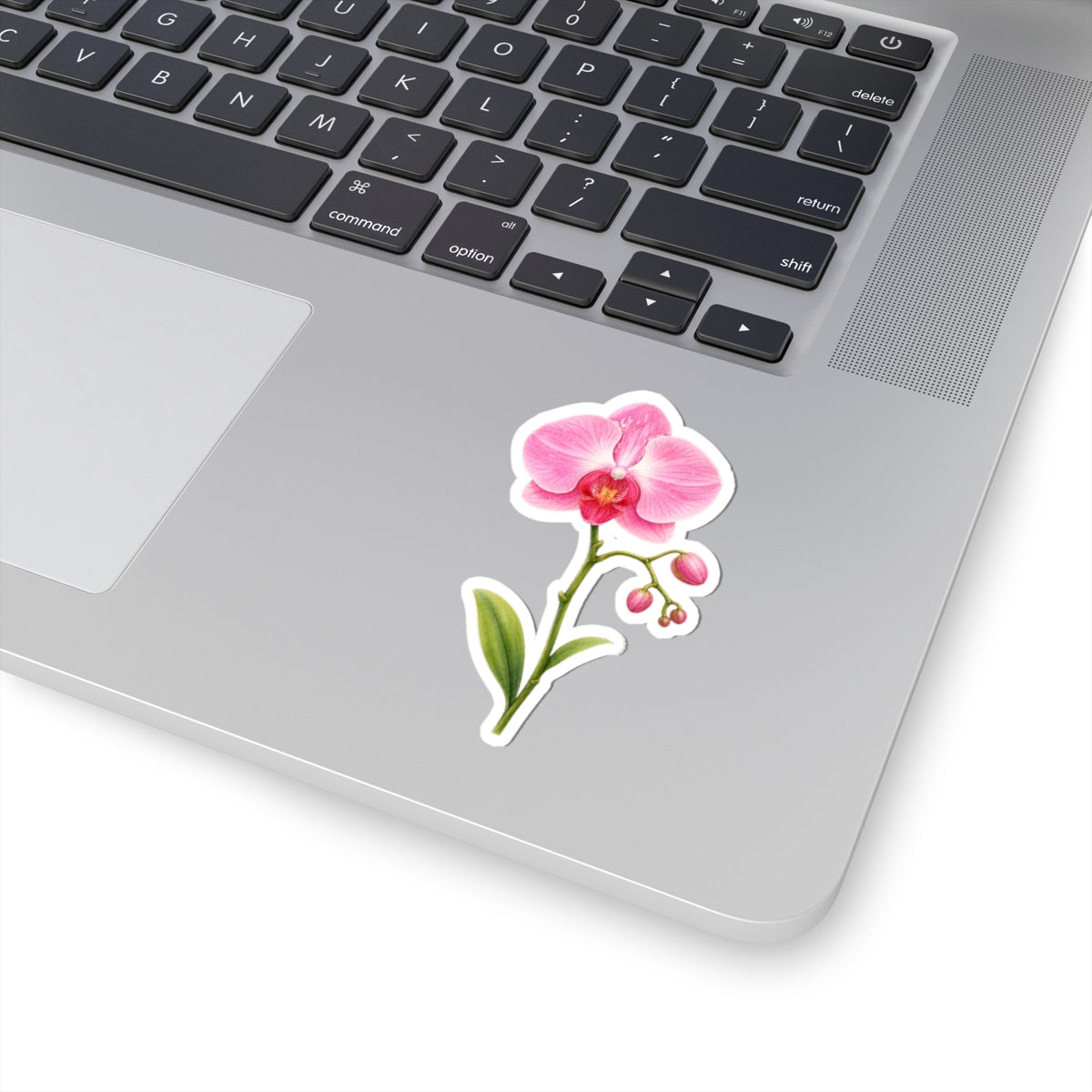 Pink Orchid Flower Sticker Decal, Blossom Floral Watercolor Art Vinyl Cute Waterbottle Tumbler Car Waterproof Bumper Clear Die Cut Wall - Starcove Fashion