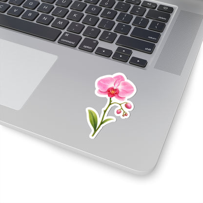 Pink Orchid Flower Sticker Decal, Blossom Floral Watercolor Art Vinyl Cute Waterbottle Tumbler Car Waterproof Bumper Clear Die Cut Wall - Starcove Fashion