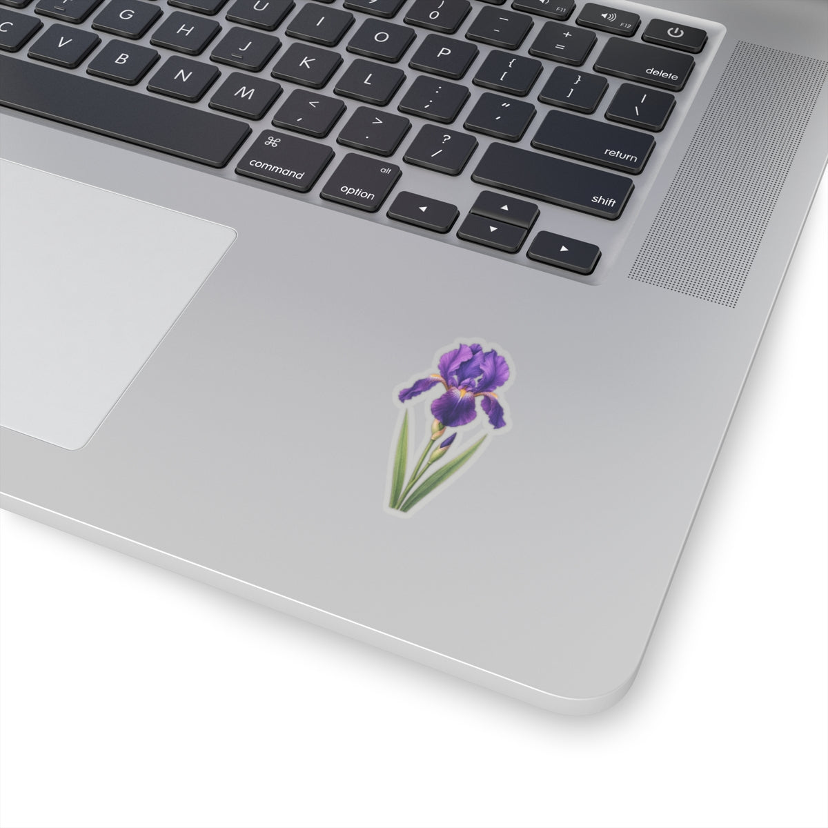Purple Iris Flower Sticker Decal, Blossom Floral Watercolor Art Vinyl Cute Waterbottle Tumbler Car Waterproof Bumper Clear Die Cut Wall - Starcove Fashion