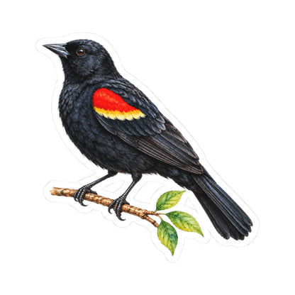 Red-Winged Blackbird Bird Sticker Decal, Birdwatcher Wetland Watercolor Art Vinyl Laptop Waterbottle Tumbler Car Waterproof Bumper Clear Die Cut