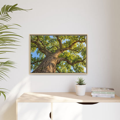 Oak Tree Canopy Canvas Wood Framed, Green Foliage Sunlit Woodland Wall Art Print Artwork Decor Small Large Hanging Matte Modern Landscape