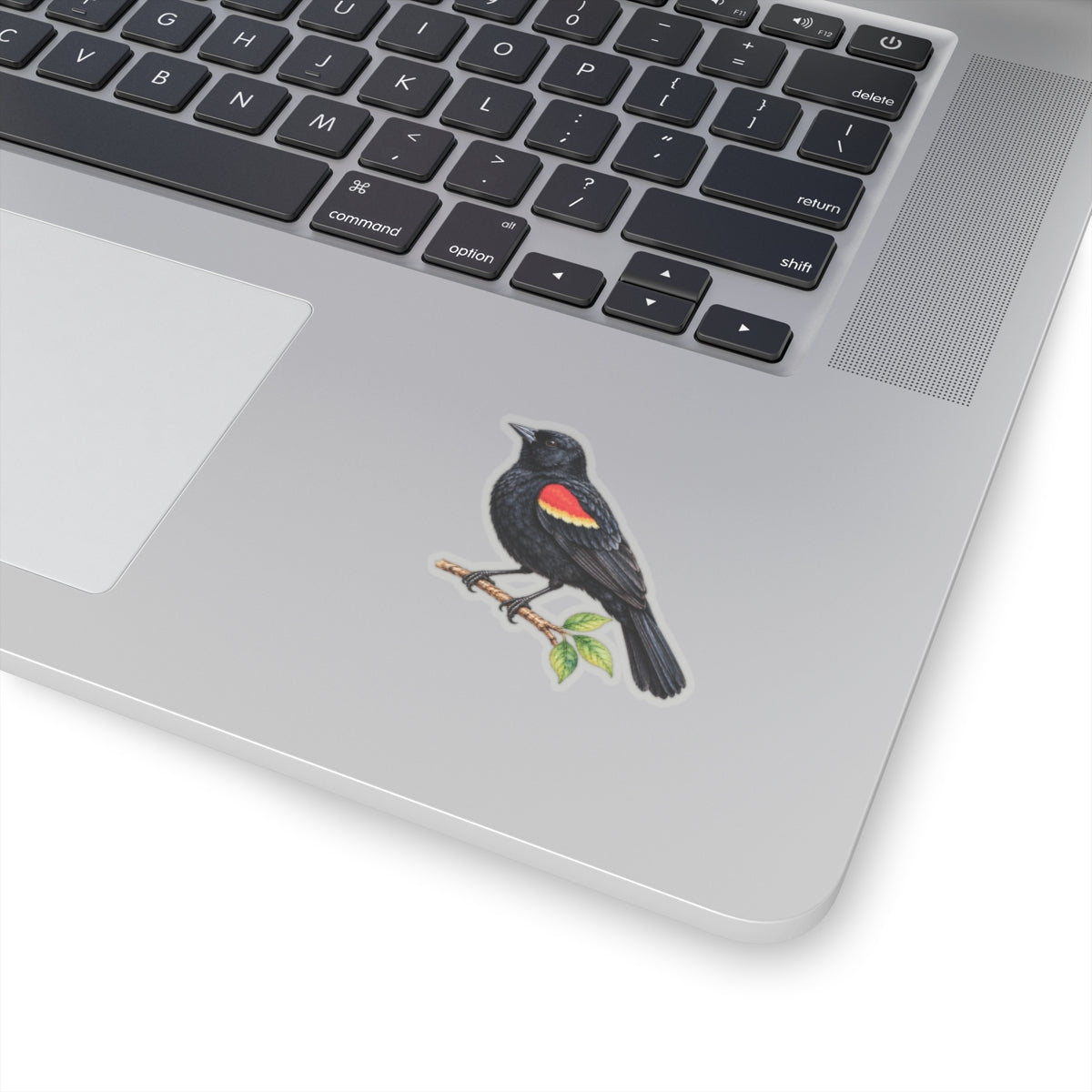 Red-Winged Blackbird Bird Sticker Decal, Birdwatcher Wetland Watercolor Art Vinyl Laptop Waterbottle Tumbler Car Waterproof Bumper Clear Die Cut