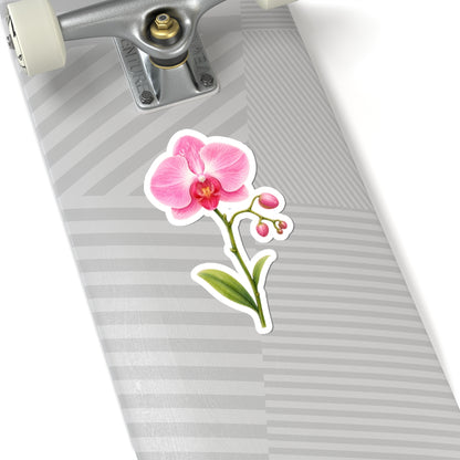 Pink Orchid Flower Sticker Decal, Blossom Floral Watercolor Art Vinyl Cute Waterbottle Tumbler Car Waterproof Bumper Clear Die Cut Wall - Starcove Fashion