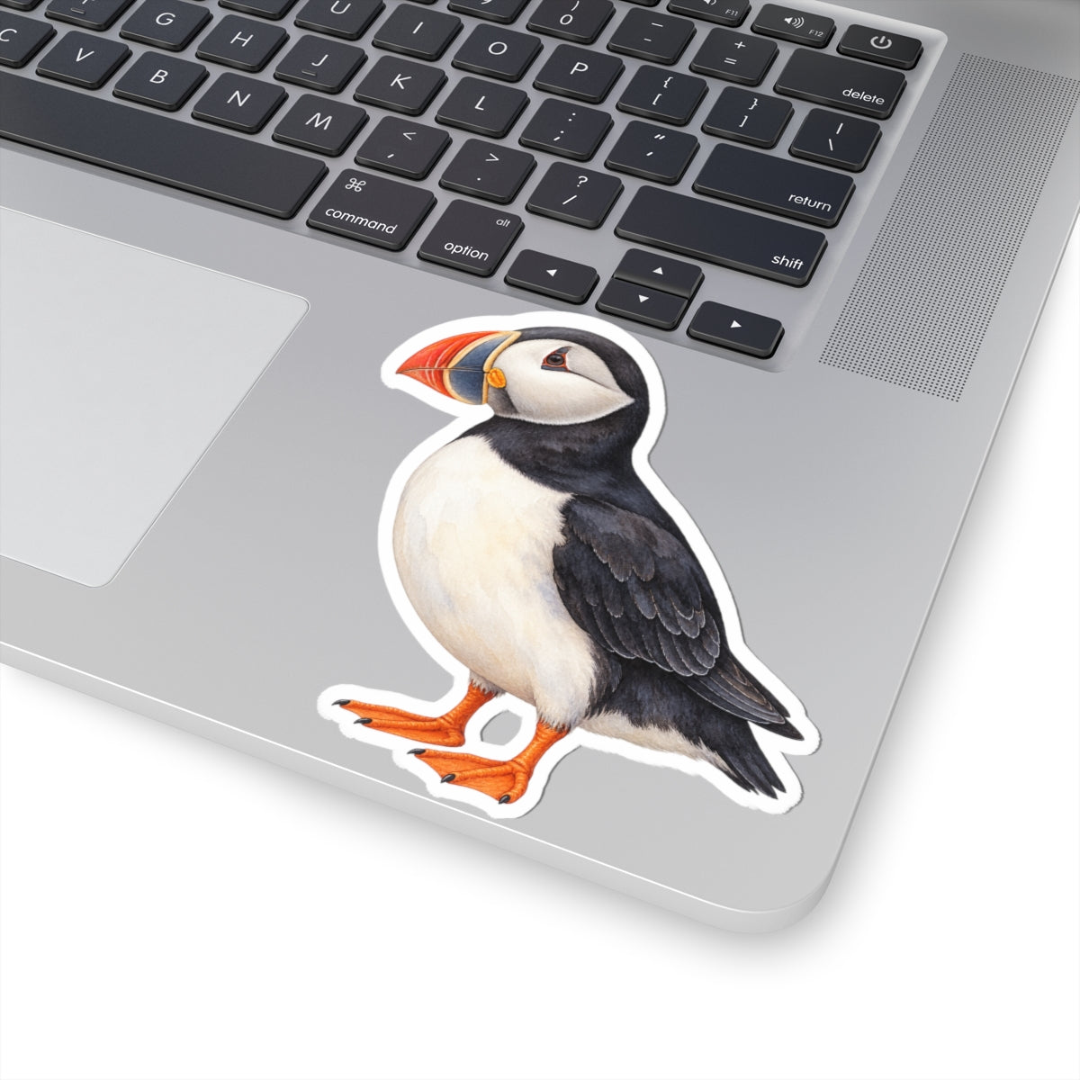 Atlantic Puffin Sticker Decal, Bird Seabird Watercolor Art Vinyl Laptop Cute Waterbottle Tumbler Car Waterproof Bumper 4x4 Clear Die Cut