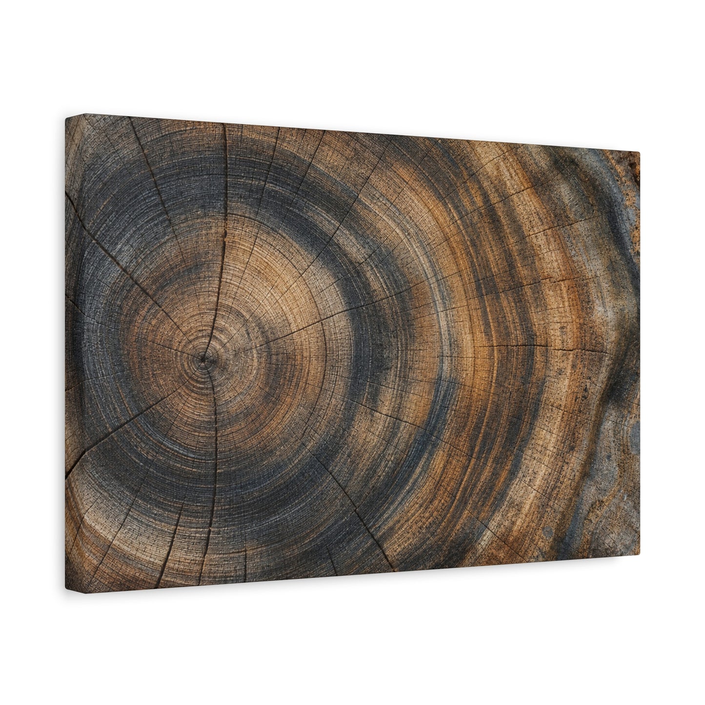 Tree Rings Canvas Gallery Wrap, Wood Farmhouse Nature Earth Watercolor Wall Art Print Decor Small Large Hanging Modern Landscape Living Room