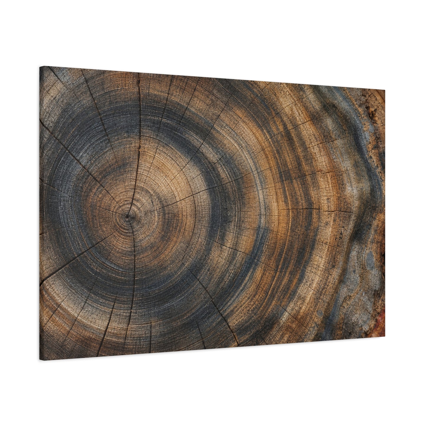 Tree Rings Canvas Gallery Wrap, Wood Farmhouse Nature Earth Watercolor Wall Art Print Decor Small Large Hanging Modern Landscape Living Room