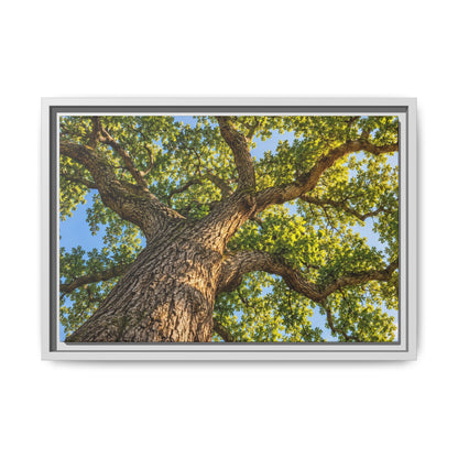 Oak Tree Canopy Canvas Wood Framed, Green Foliage Sunlit Woodland Wall Art Print Artwork Decor Small Large Hanging Matte Modern Landscape