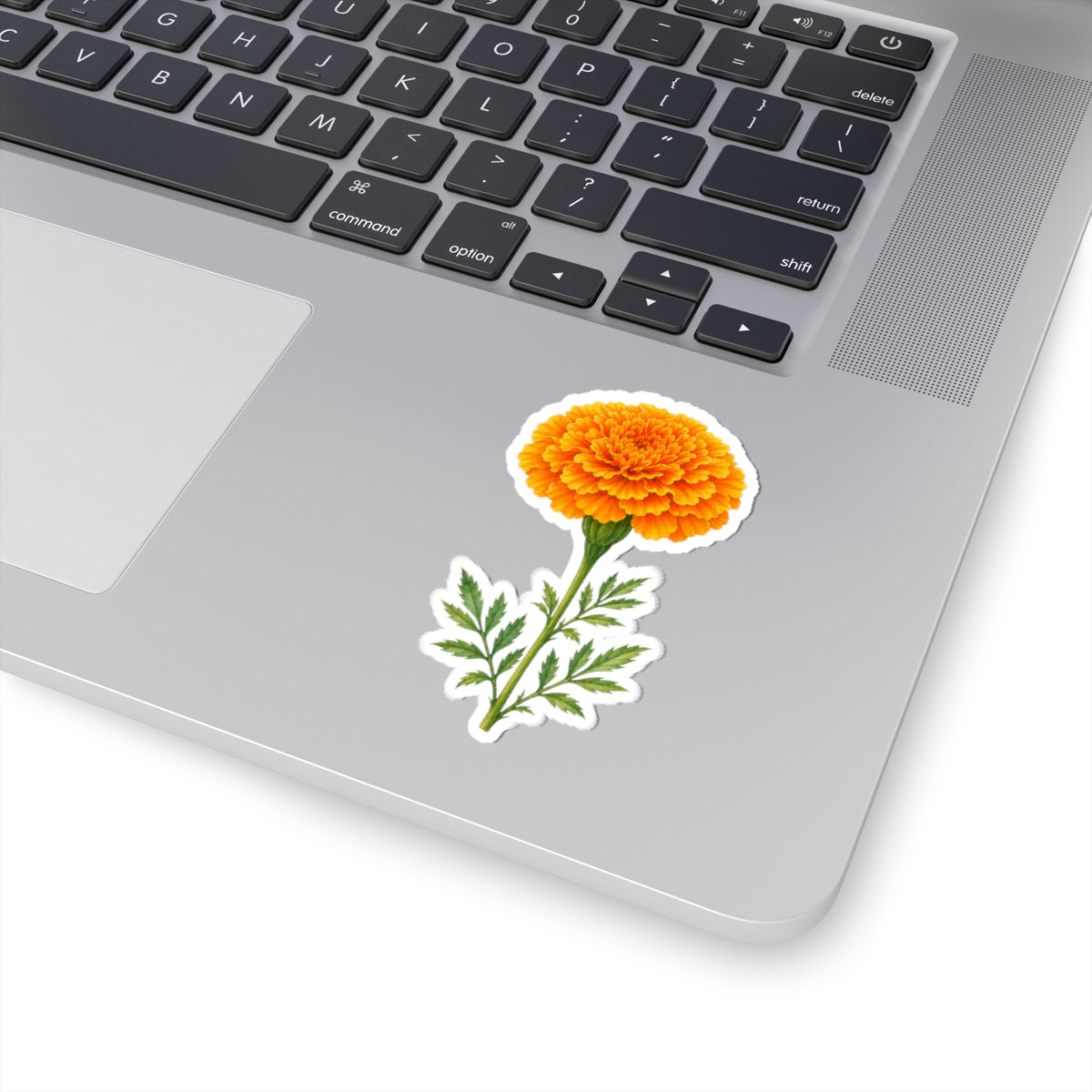 Marigold Flower Sticker Decal, Bright Orange Floral Watercolor Art Vinyl Cute Waterbottle Tumbler Car Waterproof Bumper Clear Die Cut Wall - Starcove Fashion
