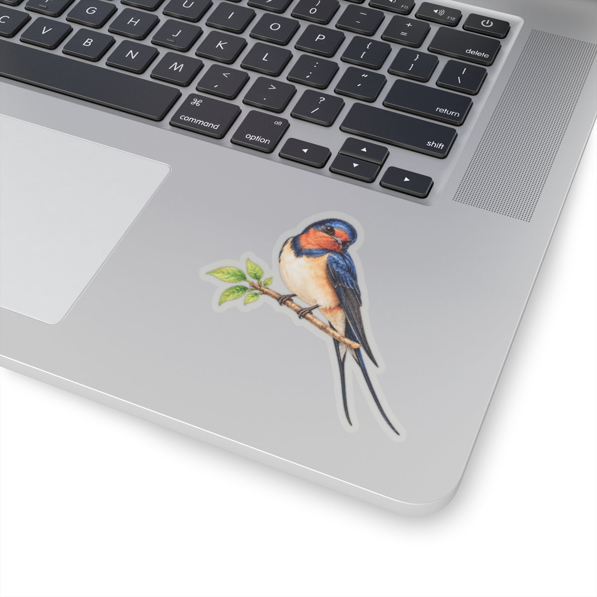 Barn Swallow Bird Sticker Decal, Blue Forked Tail Birdwatcher Watercolor Art Vinyl Laptop Waterbottle Tumbler Car Waterproof Bumper Clear