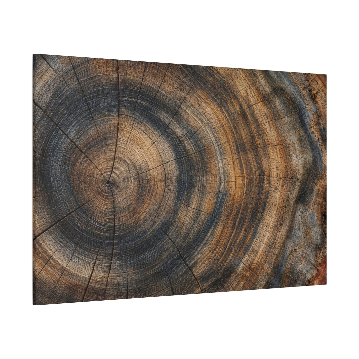 Tree Rings Canvas Gallery Wrap, Wood Farmhouse Nature Earth Watercolor Wall Art Print Decor Small Large Hanging Modern Landscape Living Room