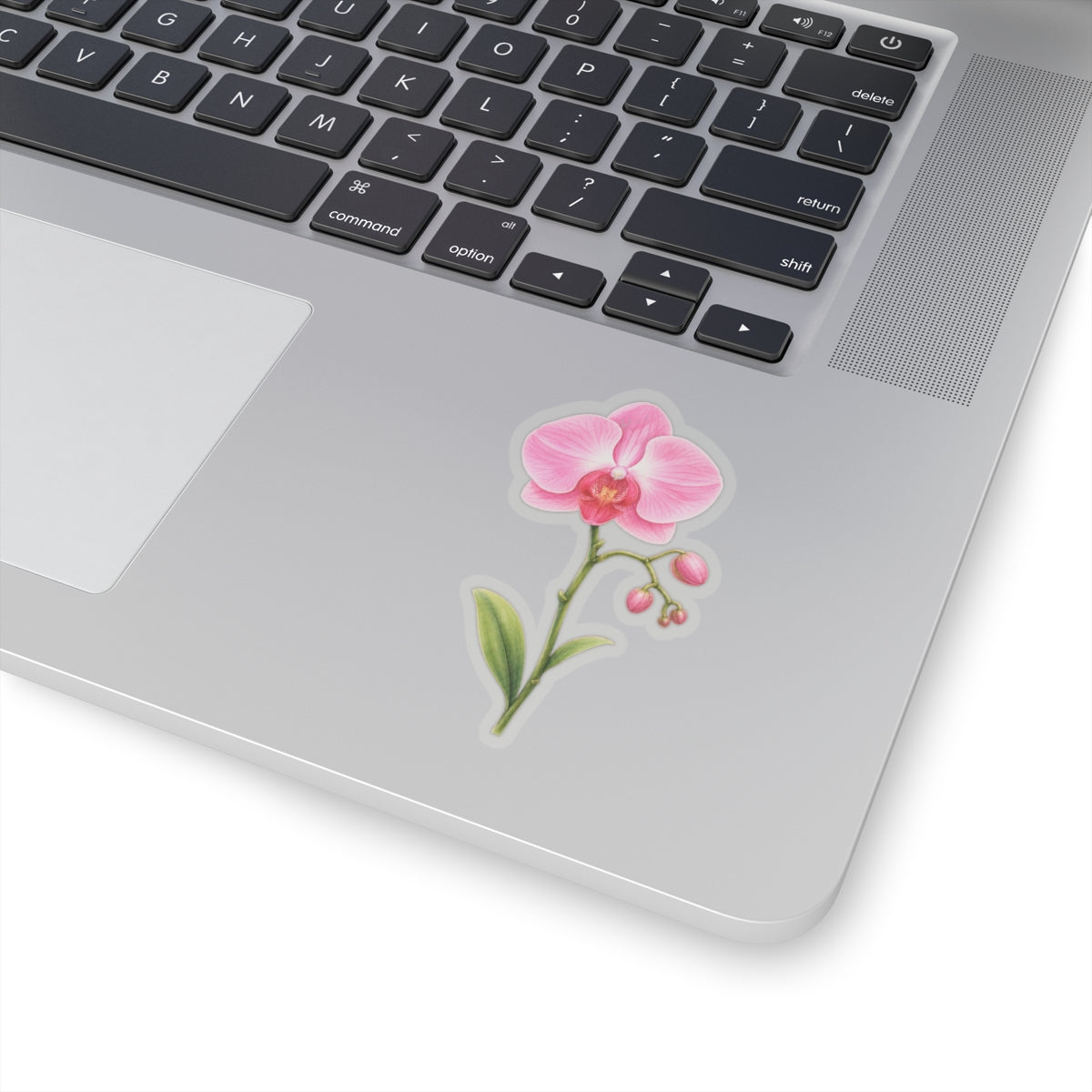 Pink Orchid Flower Sticker Decal, Blossom Floral Watercolor Art Vinyl Cute Waterbottle Tumbler Car Waterproof Bumper Clear Die Cut Wall - Starcove Fashion