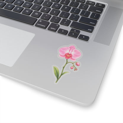 Pink Orchid Flower Sticker Decal, Blossom Floral Watercolor Art Vinyl Cute Waterbottle Tumbler Car Waterproof Bumper Clear Die Cut Wall - Starcove Fashion