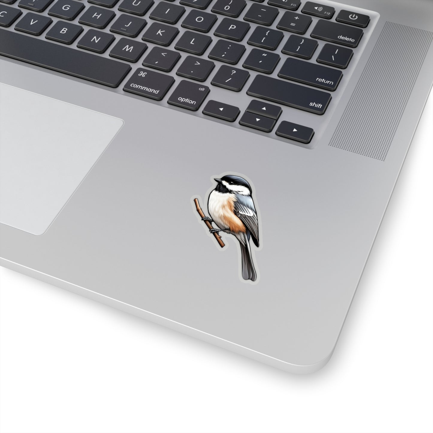 Black-capped Chickadee Sticker Decal, Bird Animal Art Vinyl Laptop Cute Waterbottle Tumbler Car Waterproof Bumper Clear Aesthetic Wall Starcove Fashion