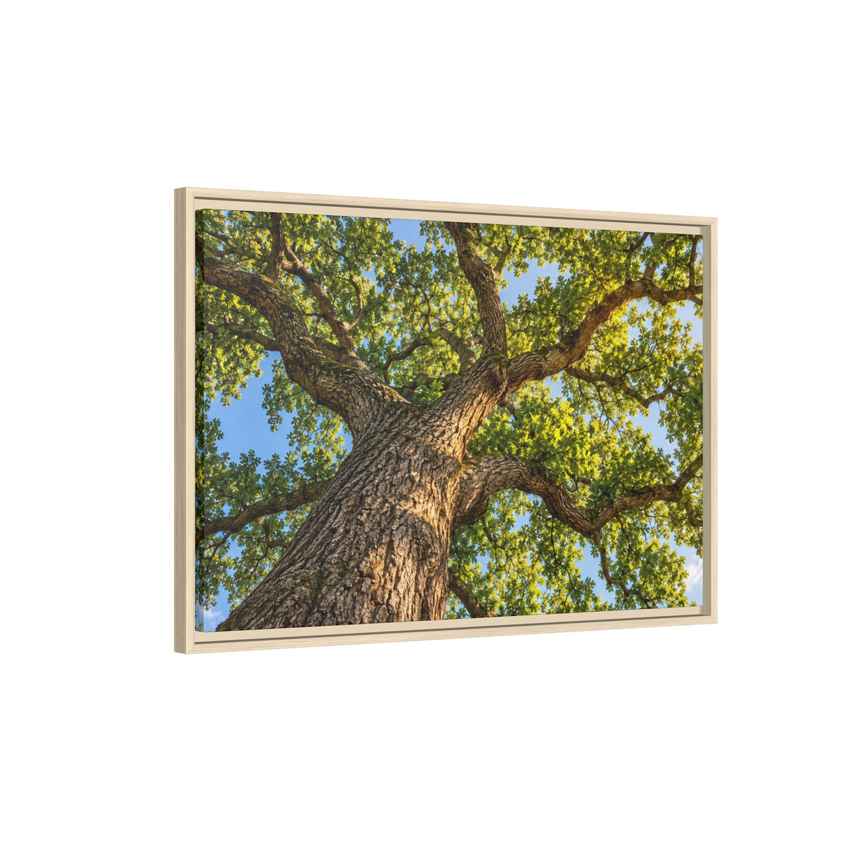 Oak Tree Canopy Canvas Wood Framed, Green Foliage Sunlit Woodland Wall Art Print Artwork Decor Small Large Hanging Matte Modern Landscape