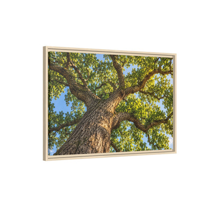 Oak Tree Canopy Canvas Wood Framed, Green Foliage Sunlit Woodland Wall Art Print Artwork Decor Small Large Hanging Matte Modern Landscape