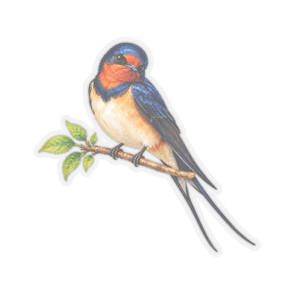 Barn Swallow Bird Sticker Decal, Blue Forked Tail Birdwatcher Watercolor Art Vinyl Laptop Waterbottle Tumbler Car Waterproof Bumper Clear
