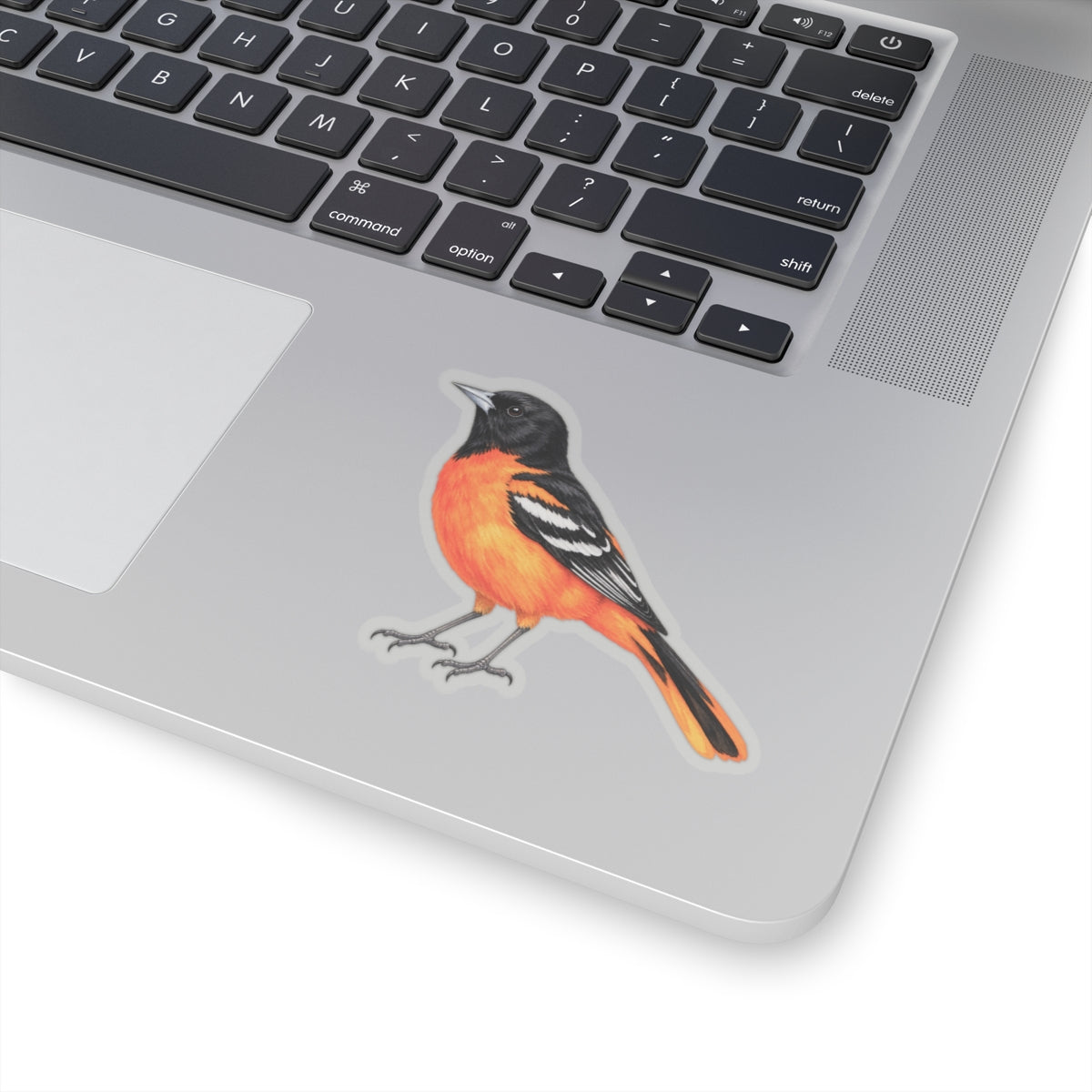 Baltimore Oriole Bird Sticker Decal, Orange Birdwatcher Watercolor Art Vinyl Laptop Waterbottle Tumbler Car Waterproof Bumper Clear Die Cut