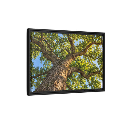 Oak Tree Canopy Canvas Wood Framed, Green Foliage Sunlit Woodland Wall Art Print Artwork Decor Small Large Hanging Matte Modern Landscape