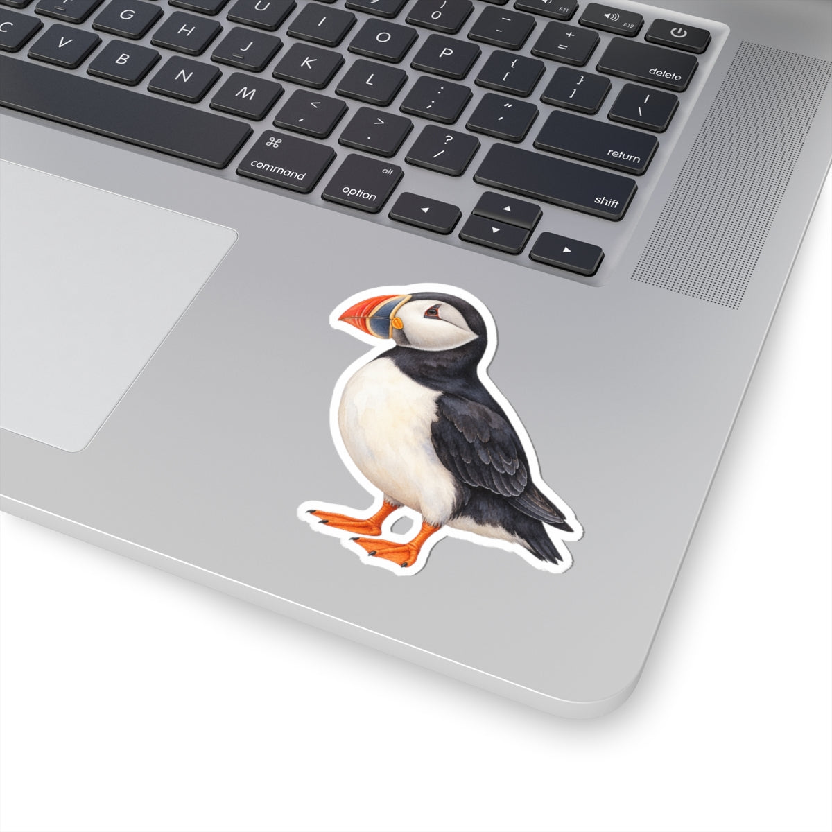 Atlantic Puffin Sticker Decal, Bird Seabird Watercolor Art Vinyl Laptop Cute Waterbottle Tumbler Car Waterproof Bumper 4x4 Clear Die Cut