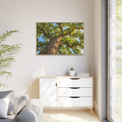 Oak Tree Canopy Canvas Wood Framed, Green Foliage Sunlit Woodland Wall Art Print Artwork Decor Small Large Hanging Matte Modern Landscape