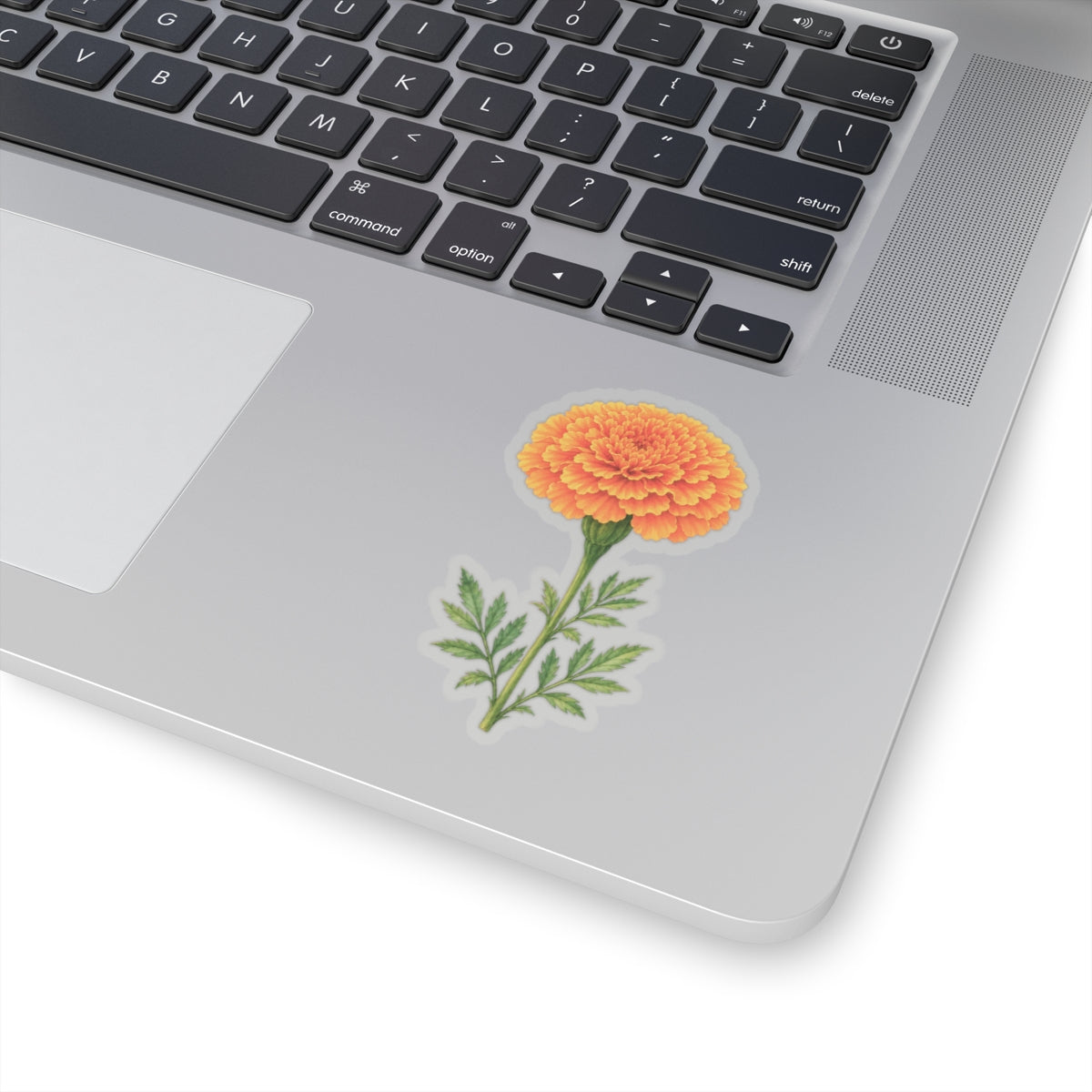 Marigold Flower Sticker Decal, Bright Orange Floral Watercolor Art Vinyl Cute Waterbottle Tumbler Car Waterproof Bumper Clear Die Cut Wall - Starcove Fashion
