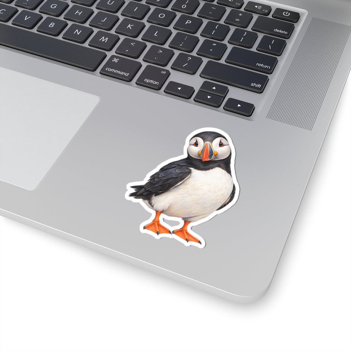 Atlantic Puffin Sticker Decal, Bird Seabird Watercolor Art Vinyl Laptop Cute Waterbottle Tumbler Car Waterproof Bumper 4x4 Clear Die Cut