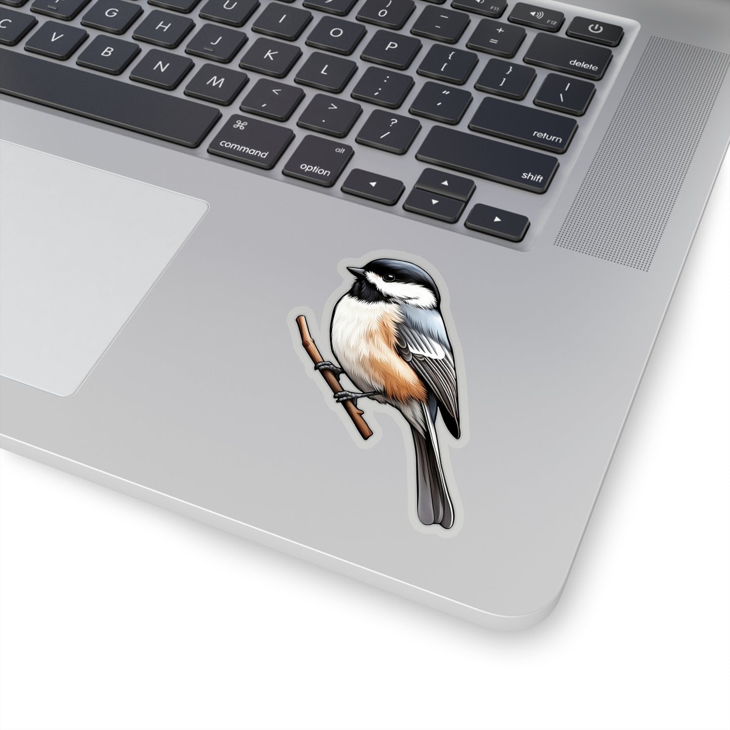 Black-capped Chickadee Sticker Decal, Bird Animal Art Vinyl Laptop Cute Waterbottle Tumbler Car Waterproof Bumper Clear Aesthetic Wall Starcove Fashion