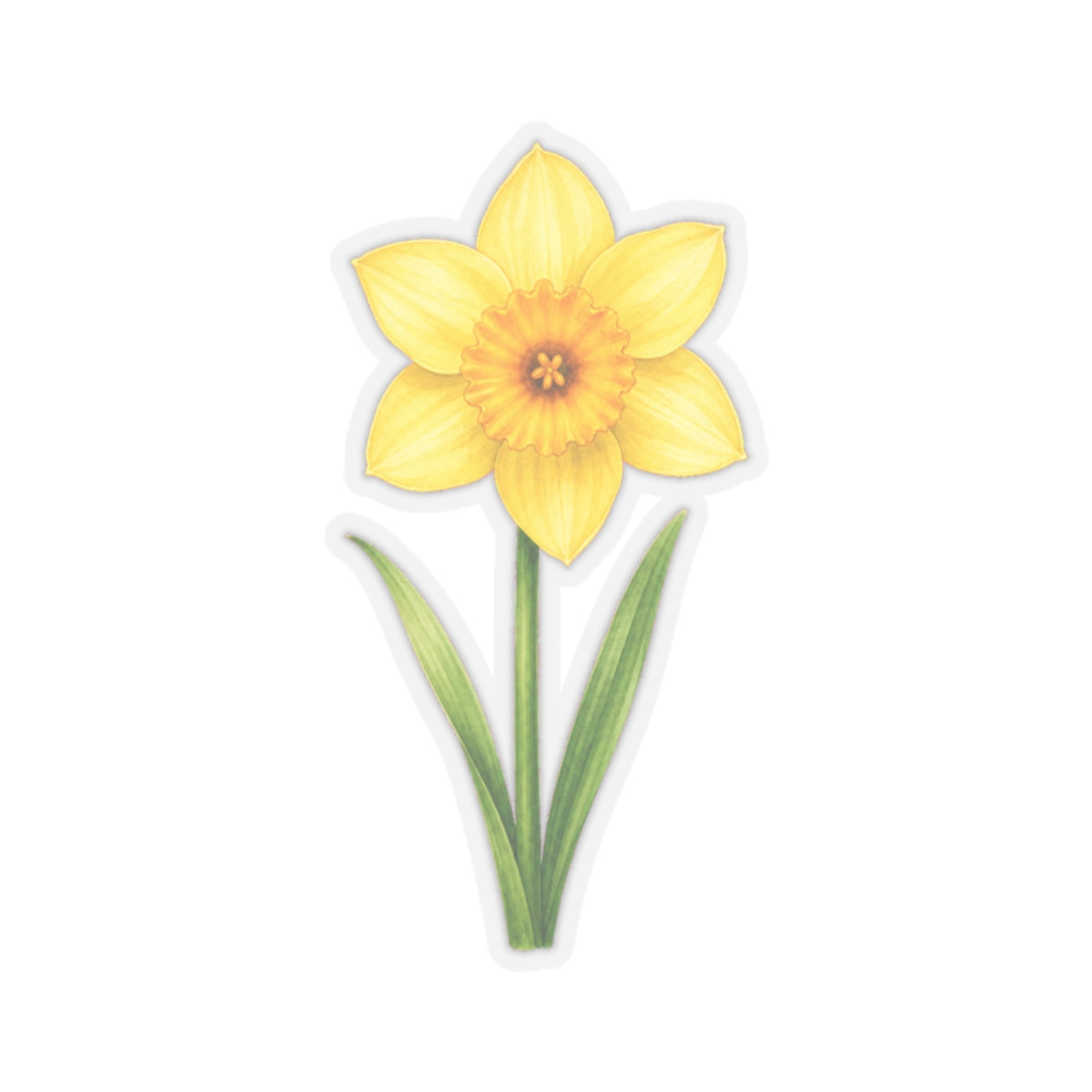 Yellow Daffodil Flower Sticker Decal, Blossom Floral Watercolor Art Vinyl Cute Waterbottle Tumbler Car Waterproof Bumper Clear Die Cut Wall - Starcove Fashion