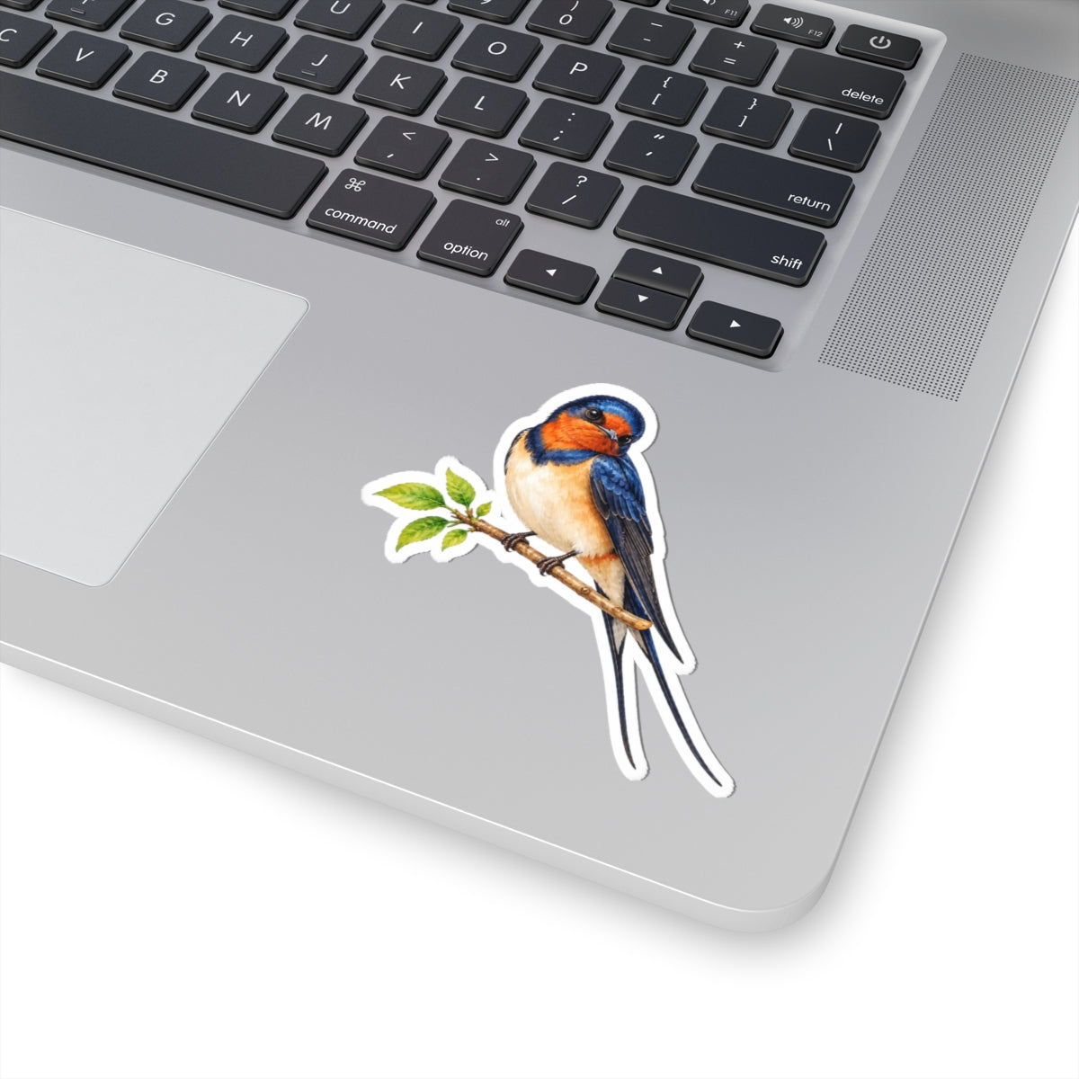 Barn Swallow Bird Sticker Decal, Blue Forked Tail Birdwatcher Watercolor Art Vinyl Laptop Waterbottle Tumbler Car Waterproof Bumper Clear