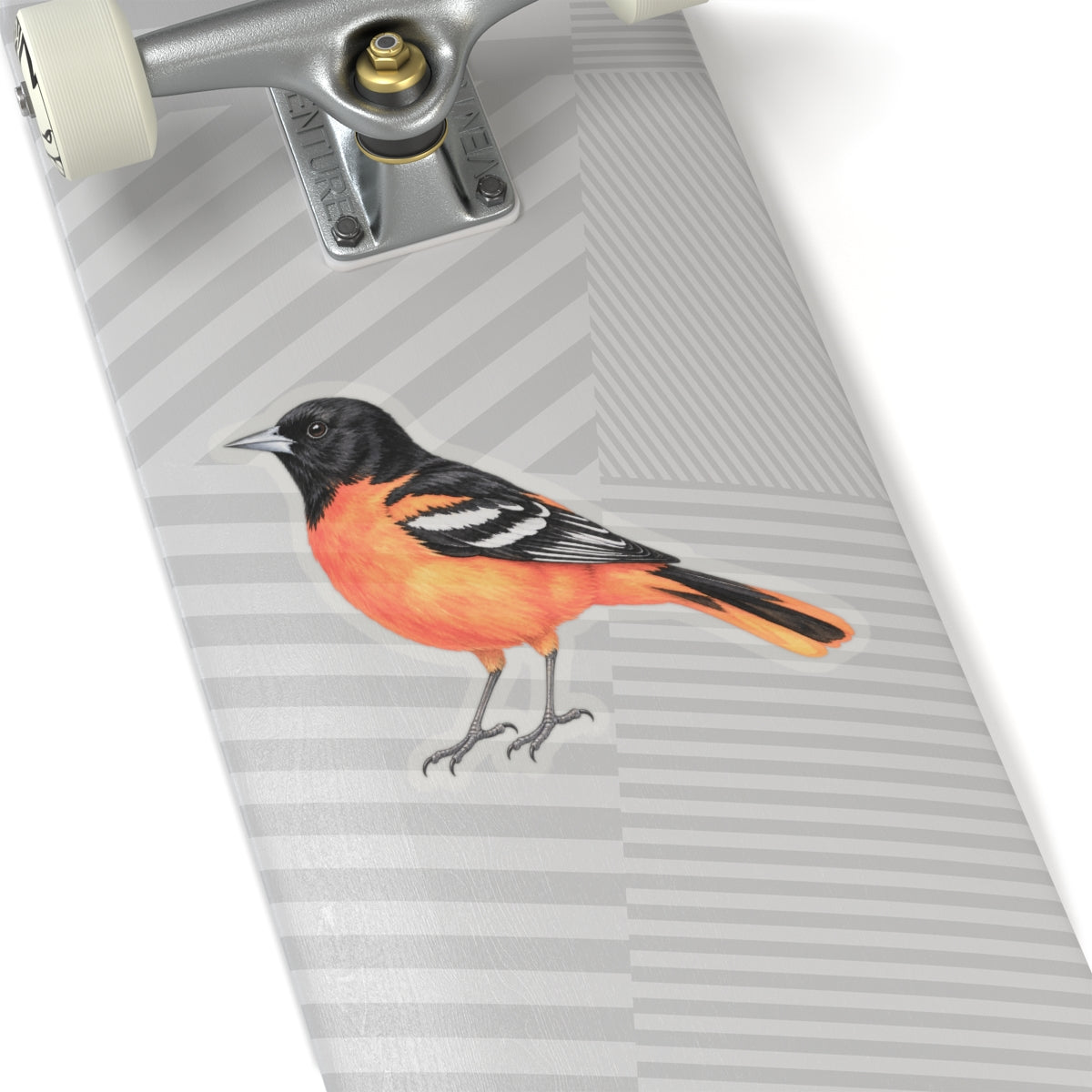 Baltimore Oriole Bird Sticker Decal, Orange Birdwatcher Watercolor Art Vinyl Laptop Waterbottle Tumbler Car Waterproof Bumper Clear Die Cut