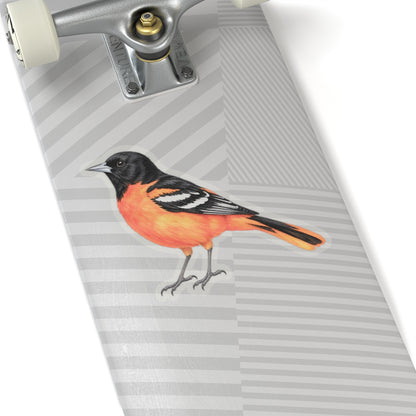 Baltimore Oriole Bird Sticker Decal, Orange Birdwatcher Watercolor Art Vinyl Laptop Waterbottle Tumbler Car Waterproof Bumper Clear Die Cut