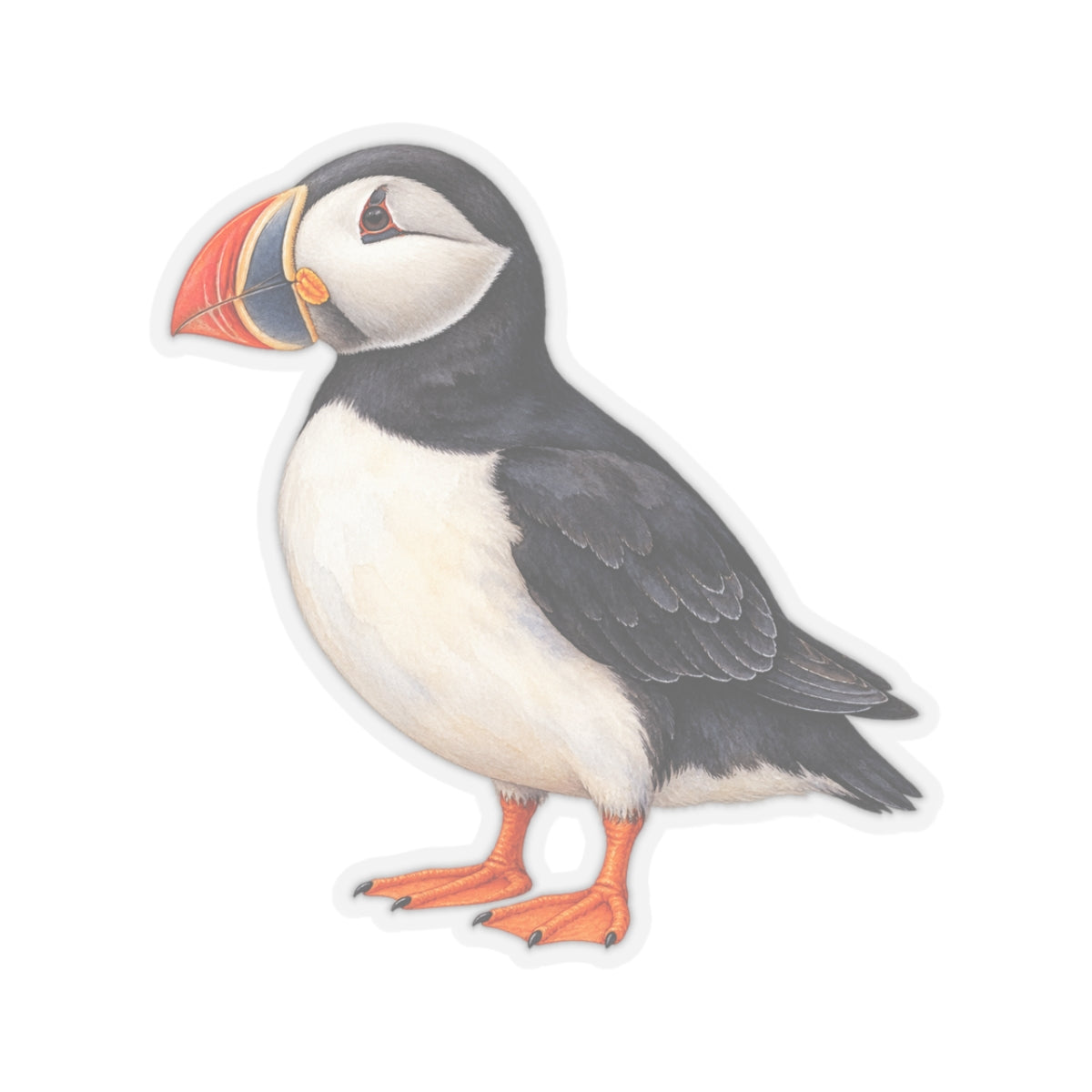 Atlantic Puffin Sticker Decal, Bird Seabird Watercolor Art Vinyl Laptop Cute Waterbottle Tumbler Car Waterproof Bumper 4x4 Clear Die Cut