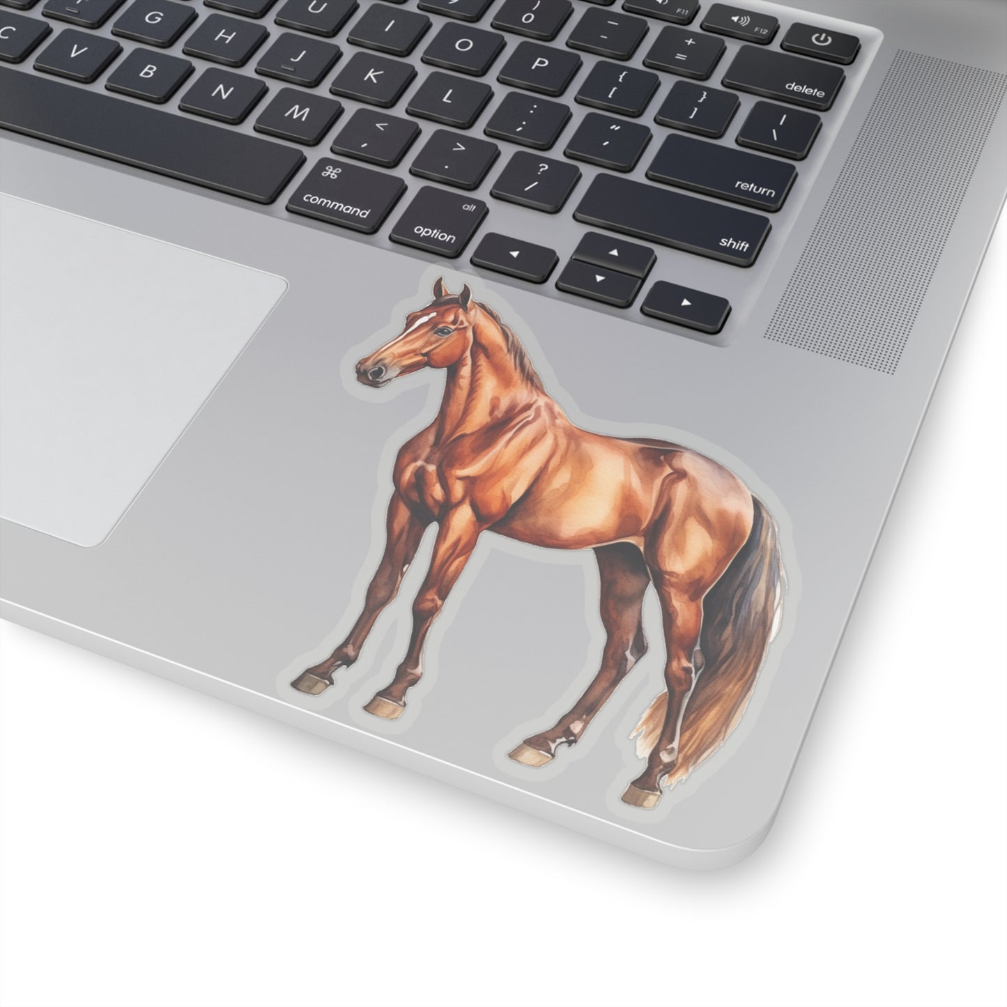 Horse Sticker Decal, Brown Animal Art Vinyl Laptop Cute Waterbottle Tumbler Car Waterproof Bumper Clear Aesthetic Die Cut Wall Starcove Fashion