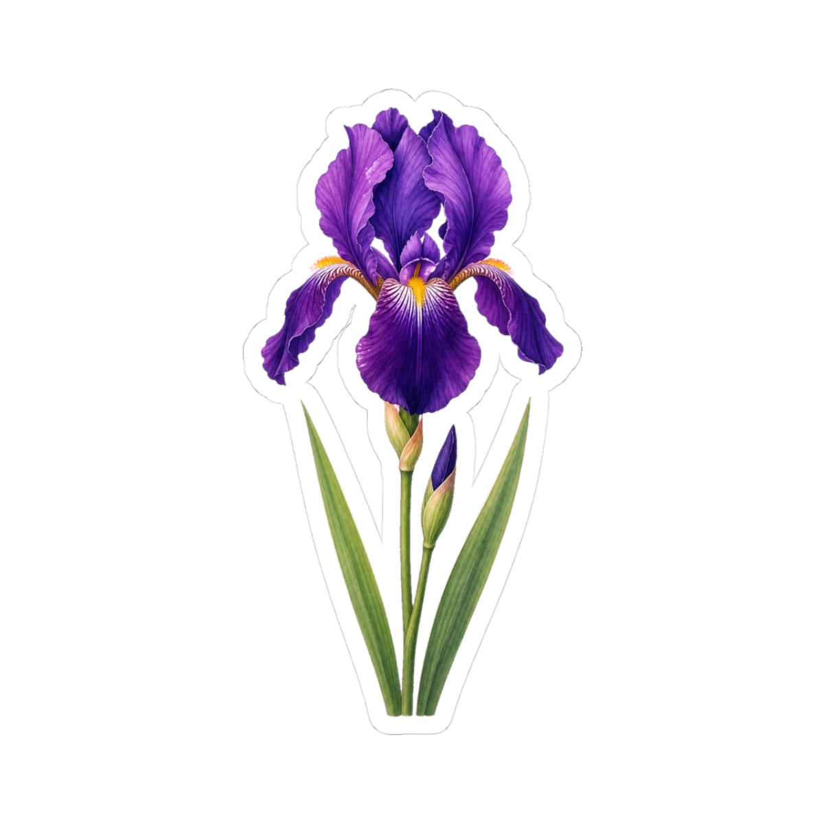Purple Iris Flower Sticker Decal, Blossom Floral Watercolor Art Vinyl Cute Waterbottle Tumbler Car Waterproof Bumper Clear Die Cut Wall - Starcove Fashion