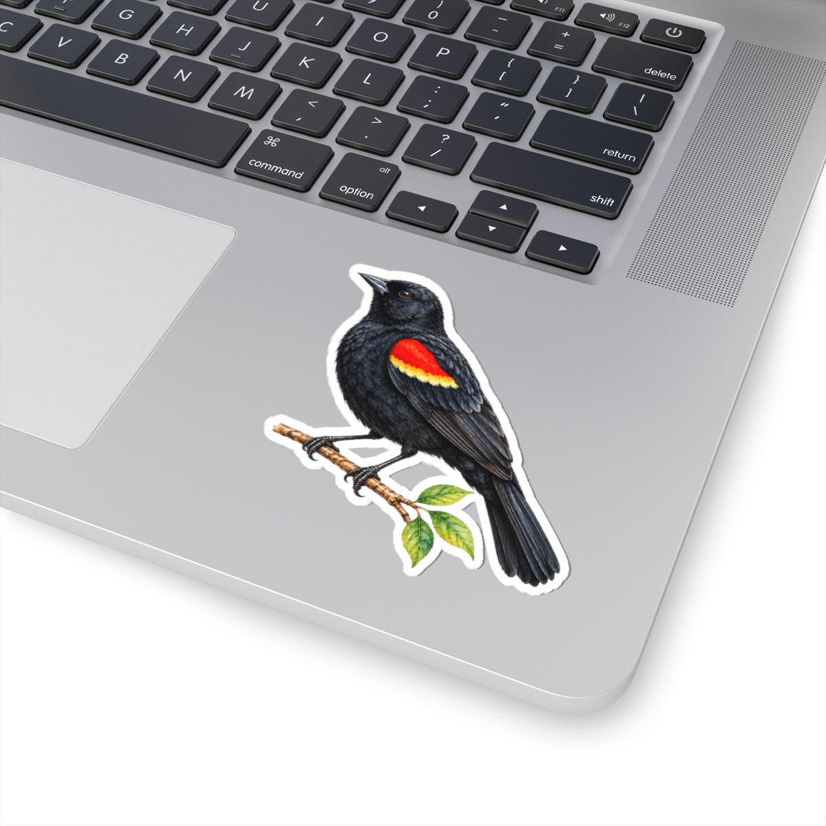 Red-Winged Blackbird Bird Sticker Decal, Birdwatcher Wetland Watercolor Art Vinyl Laptop Waterbottle Tumbler Car Waterproof Bumper Clear Die Cut