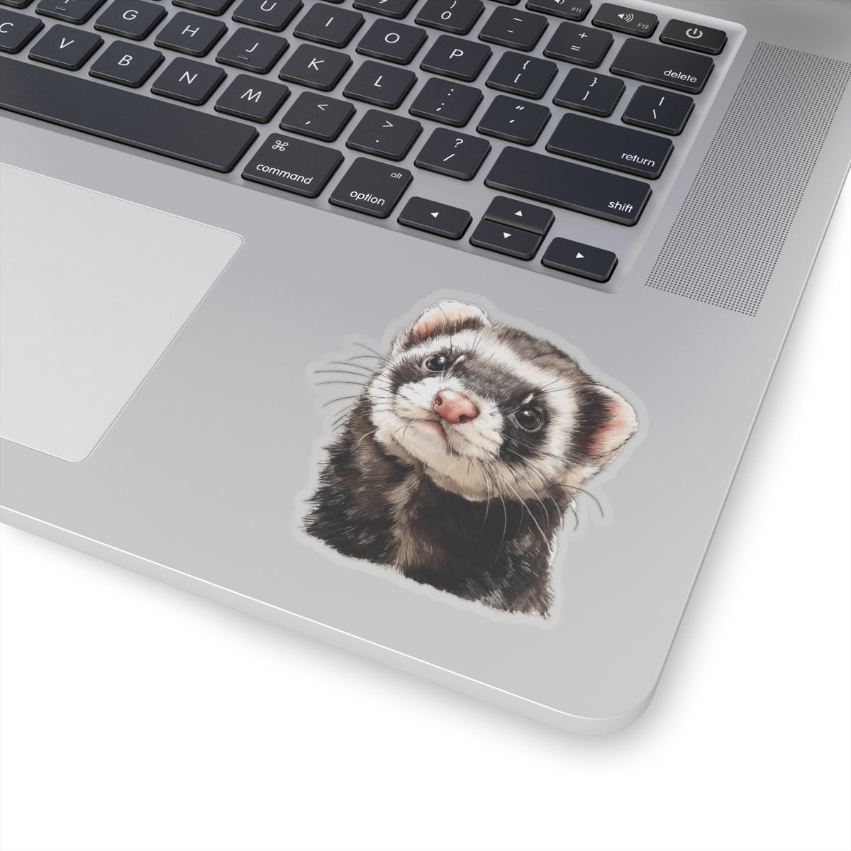 Ferret Sticker Decal, Watercolor Animal Wildlife Cute Art Vinyl Laptop Waterbottle Tumbler Car Waterproof Bumper 4x4 Clear Die Cut Wall