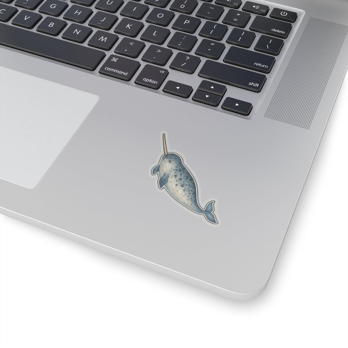 Narwhal Sticker Decal, Ocean Animal Sea Whale Watercolor Art Vinyl Laptop Cute Waterbottle Tumbler Car Waterproof Bumper Clear Die Cut Wall