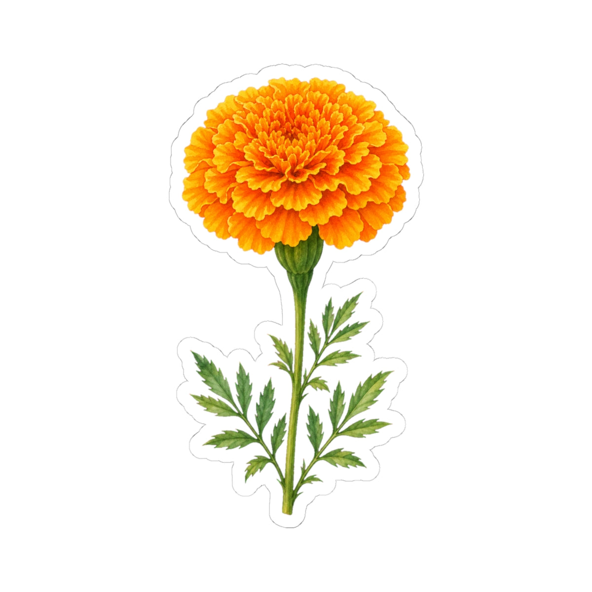 Marigold Flower Sticker Decal, Bright Orange Floral Watercolor Art Vinyl Cute Waterbottle Tumbler Car Waterproof Bumper Clear Die Cut Wall - Starcove Fashion