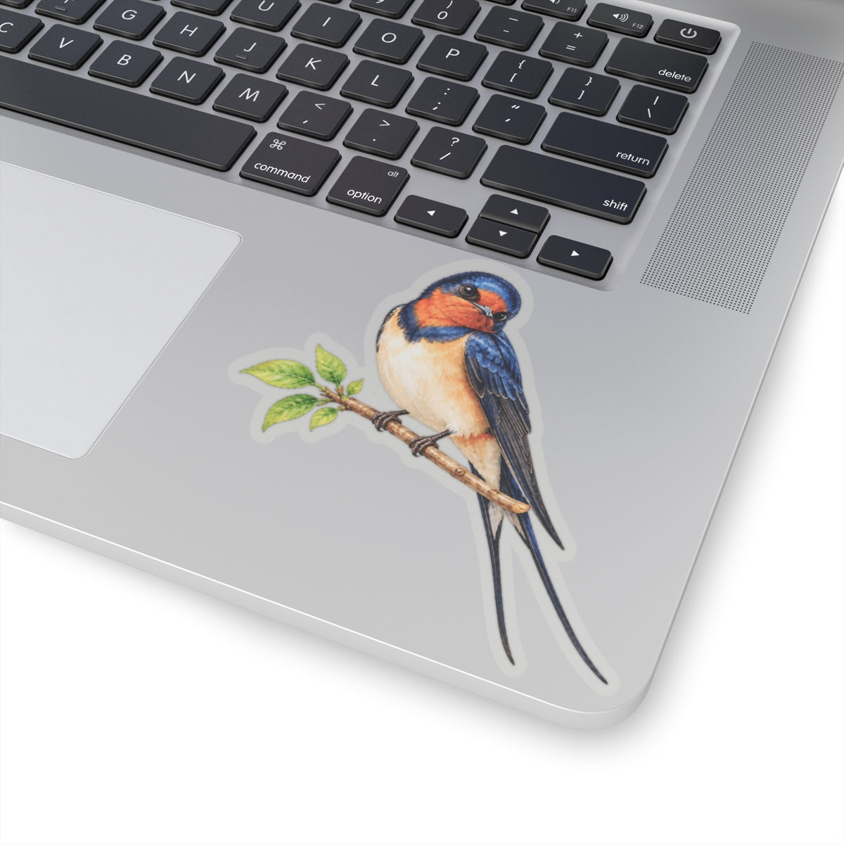 Barn Swallow Bird Sticker Decal, Blue Forked Tail Birdwatcher Watercolor Art Vinyl Laptop Waterbottle Tumbler Car Waterproof Bumper Clear